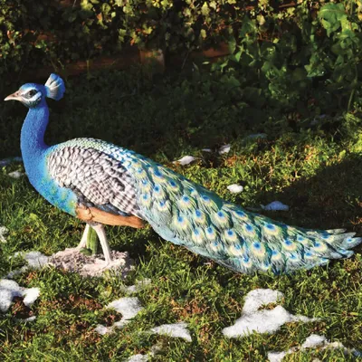 Immagine prodotto di Pavone Grande Decorativo in Resina 82x47 cm per Laghetti e Giardini