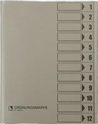 Produktbild von Bene Ordnungsmappe 083800GR DIN A4 12Fächer PVC grau