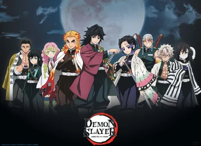 Image de Poster Demon Slayer Pillars 52x38cm