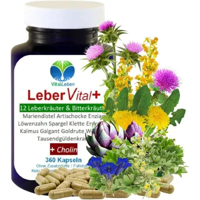 Produktbild von LEBER Vital Komplex Leberkapseln 360 Kapseln 12 Kräuter & Bitterstoffe mit Löwenzahn, Artischocke, Mariendistel + CHOLIN ohne Zusatzstoffe
