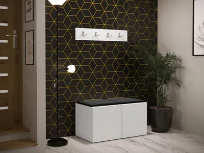 Obrázek produktu pro Nábytek do chodby s čalouněnými panely 42x42 SELAND 7 - dub artisan / černá