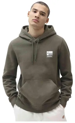 Immagine prodotto di Felpa Dickies DICKIES Taylor - Sudadera da Uomo