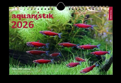 Produktbild von Lukhaup, C: aquaristik 2026