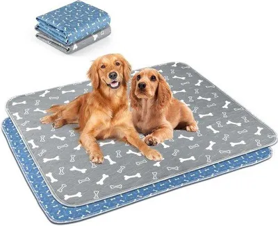 Produktbild von Famanu Urinmatte Hygienematte Haustierunterlage 100 x 70 cm wasserdicht grau-blau - Set von 2