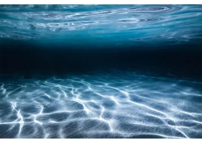 Produktbild von Unterwasser-Thema Aquarium-Hintergrund, 120x61 cm