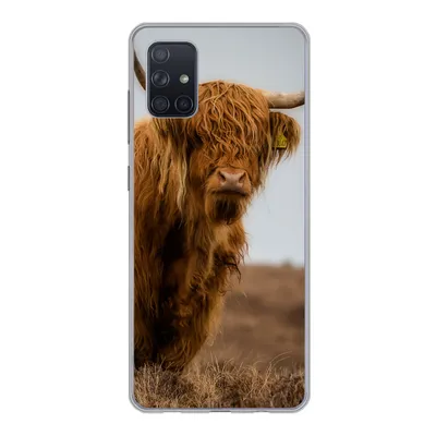 Produktbild von MuchoWow® Handyhülle Schutzhülle Hülle für Samsung Galaxy A71 Schottischer Highlander - Düne - Gras Silikon Softcase Handy Hülle - Kartenbesitzer