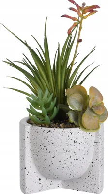 Immagine prodotto di Pianta artificiale in vaso decorativo 26 cm