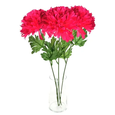 Zdjęcie produktu dla Chryzantema bordowa Ø17cm/65 cm - 3 szt.