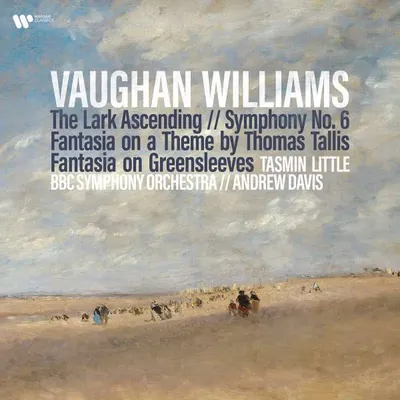 Obrázek produktu pro Ralph Vaughan Williams (1872-1958) - Symfonie č. 6 (180g)