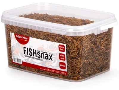 Produktbild von Kruger Meier FISHsnax Mehlwürmer 5000ml - Mehlwurmlarven für Fische