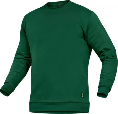 Produktbild von Leibwächter Rundhals-Sweater LWSR Gr. S grün
