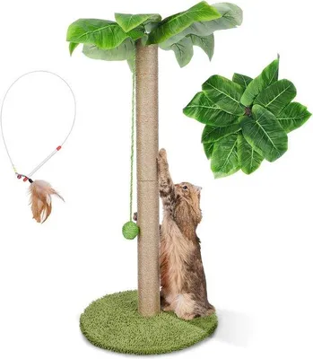 Produktbild von Famanu Kratzbaum für Katzen, 85 cm hoch mit Sisaltau und interaktivem Spielzeug