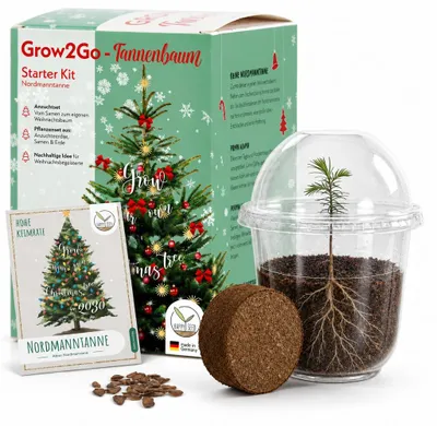 Produktbild von Weihnachtsbaum Anzuchtset Nordmanntanne Samen Mini-Gewächshaus Erde Starter Kit