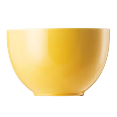 Obrázok produktu pre Thomas 10850-408502-15456, Porcelán, 0,45 L