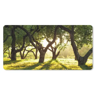 Produktbild von MuchoWow® Schreibtischunterlage Bäume - Natur - Sonne 80x40 cm - XXL Mauspad - Gaming Mauspad