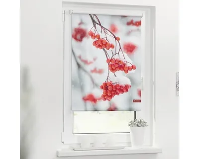 Obrázek produktu pro Roleta propouštějící denní světlo 80x150cm Jeřabiny