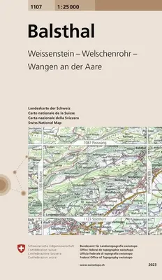 Image de Swisstopo 1 : 25 000 Balsthal