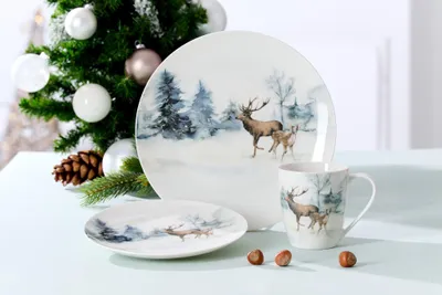 Produktbild von Dessertteller 20,5cm 6er Set Winterland