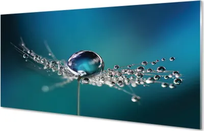 Produktbild von Glasbilder 140x70 Wandkunst Tropfen Makro Löwenzahn