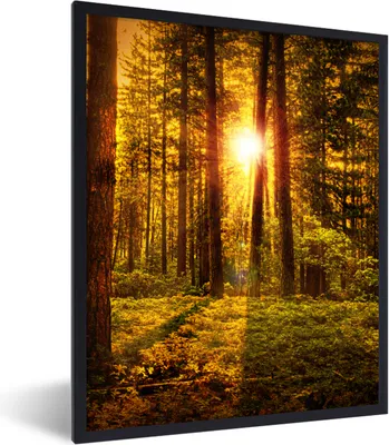 Produktbild von MuchoWow® Gerahmtes Poster Wald - Sonne - Bäume - Natur - Sonnenuntergang 60x80 cm - Poster mit Schwarzem Bilderrahmen Wandposter Rahmen Foto Bilder - Premium - Wanddeko Wohnzimmer