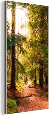 Produktbild von MuchoWow Wanddekoration Metall Metallbild Wandkunst 20x40 cm Wald - Weg - Bäume - Grün - Sonne - Natur MuchoWow Aluminium Gemälde - Aluminium Gemäldes