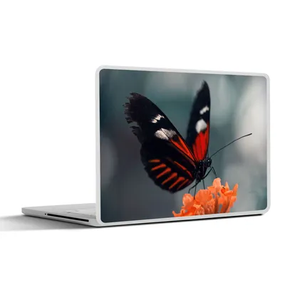 Produktbild von MuchoWow® Laptop Aufkleber Sticker Cover Schmetterling - Blume - Insekt 36.5x27.5 cm - Laptop-Sticker