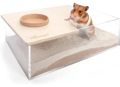 Immagine prodotto di Vaschetta per piccoli animali, rettangolare, in acrilico e legno di betulla, dimensioni 31x21,8x10,2 cm