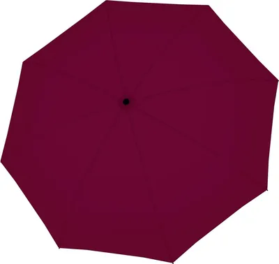 Immagine prodotto di doppler ombrello tascabile ombrello Nature Mini Umbrella Charming Wine mirtillo