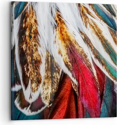 Produktbild von Bild auf Leinwand - Leinwandbild - Federn Federn Vogel - 70x70cm - Wand Bild - Wanddeko - Wandbilder - Leinwanddruck - Bilder - Kunstdruck - Wanddekoration - Leinwand bilder - Wandkunst - AC70x70-3743