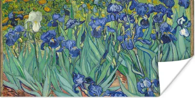 Produktbild von MuchoWow® Poster Schwertlilien - Vincent van Gogh 80x40 cm - Wanddeko