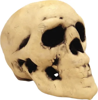 Produktbild von Totenkopf Partydekoration für Halloween, Horror- oder Piratenparty, ca. 12 cm