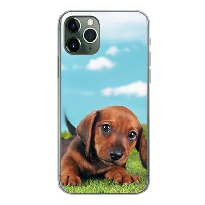 Produktbild von MuchoWow® Handyhülle Schutzhülle Hülle für iPhone 11 Pro Schöner Himmel über einem niedlichen Dackelwelpen Silikon Softcase Handy Hülle - Handy