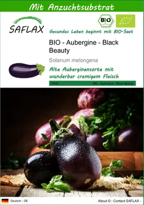 Produktbild von SAFLAX - BIO - Aubergine - Black Beauty - 25 Samen - Mit keimfreiem Anzuchtsubstrat - Solanum melongena