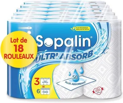 Image de Rouleaux de papier essuie-tout 50 % plus absorbants, rouleaux maxi,