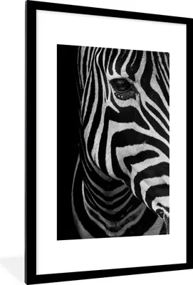 Produktbild von MuchoWow® Gerahmtes Poster Tiere - Zebra - Schwarz - Weiß 60x90 cm - Poster mit Schwarzem Bilderrahmen Wandposter Rahmen Foto Bilder - Dekoration - Wandposter Wohnzimmer - Hochwertig