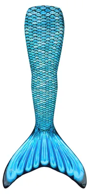 Produktbild von Fin Fun Tidal Teal, Youth L (134-143)