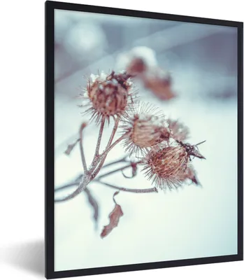 Produktbild von MuchoWow® Gerahmtes Poster Pflanzen - Winter - Schnee - Natur 60x80 cm - Poster mit Schwarzem Bilderrahmen Wandposter Rahmen Foto Bilder - Premium - Wanddeko Wohnzimmer