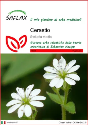 Immagine prodotto di SAFLAX  - Cerastio - 1000 semi - Stellaria