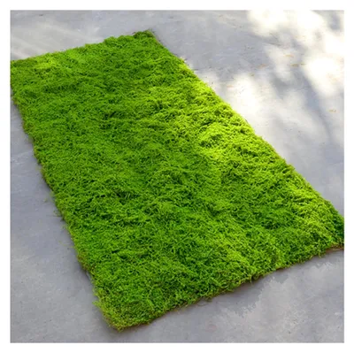 Produktbild von Kunstmoos Deko, Moosmatte, PE-Filamentgarn Moos für Bastelarbeiten zur Frühlingsdekoration, Moosbilder, Floristik, Terrarium Dekoration (50x100 cm)