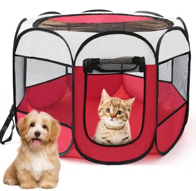Image de Cage pour petits chiens et chats, dimensions : 74 x 74 x 43 cm