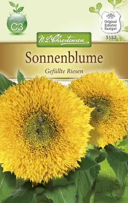 Produktbild von Sonnenblume Gefüllte Riesen | Sonnenblumensamen von N.L. Chrestensen