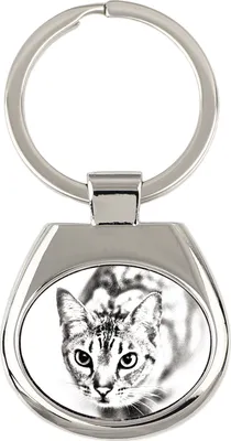 Imagen del producto de Ocicat llavero con foto de gato Art-Dog