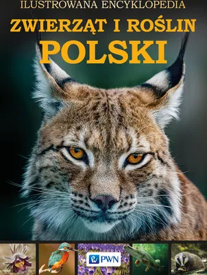 Produktbild von Ilustrovaná encyklopédia živočíchov a rastlín Poľska 608 strán