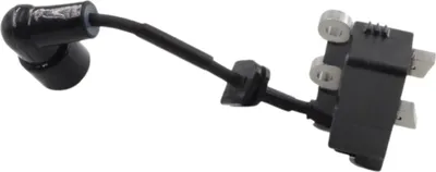 Image de Module d'allumage pour McCulloch GB322 GBV322 GBV322VX Souffleur Poulan PLB26