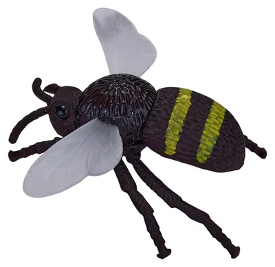 Immagine prodotto di Insects And Spiders 12pc Assorted – Lingua: Inglese