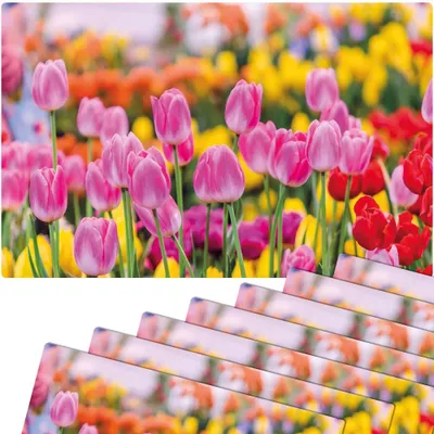 Produktbild von Abwaschbare Tischsets 8er Set Sommer Tulpen Blumen pink