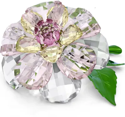 Zdjęcie produktu dla Swarovski FLORERE - KAMELIE Swarovski Dekofigur | Art.-Nr. 5721538 9009657215387