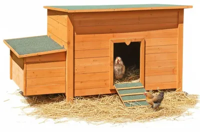 Zdjęcie produktu dla Kippenhok z drewna - 149 x 80 x 79 cm - z budką dla kur i otwieranym dachem