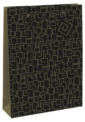 Obrázok produktu pre Clairefontaine 32478-3C, Darčeková taška, Vzor, 210 g/m², 215 mm, 102 mm, 253 mm