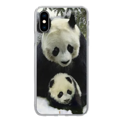Produktbild von MuchoWow® Handyhülle Schutzhülle Hülle für iPhone X Panda - Jungtier - Schnee Silikon Softcase Handy Hülle - Handyhülle